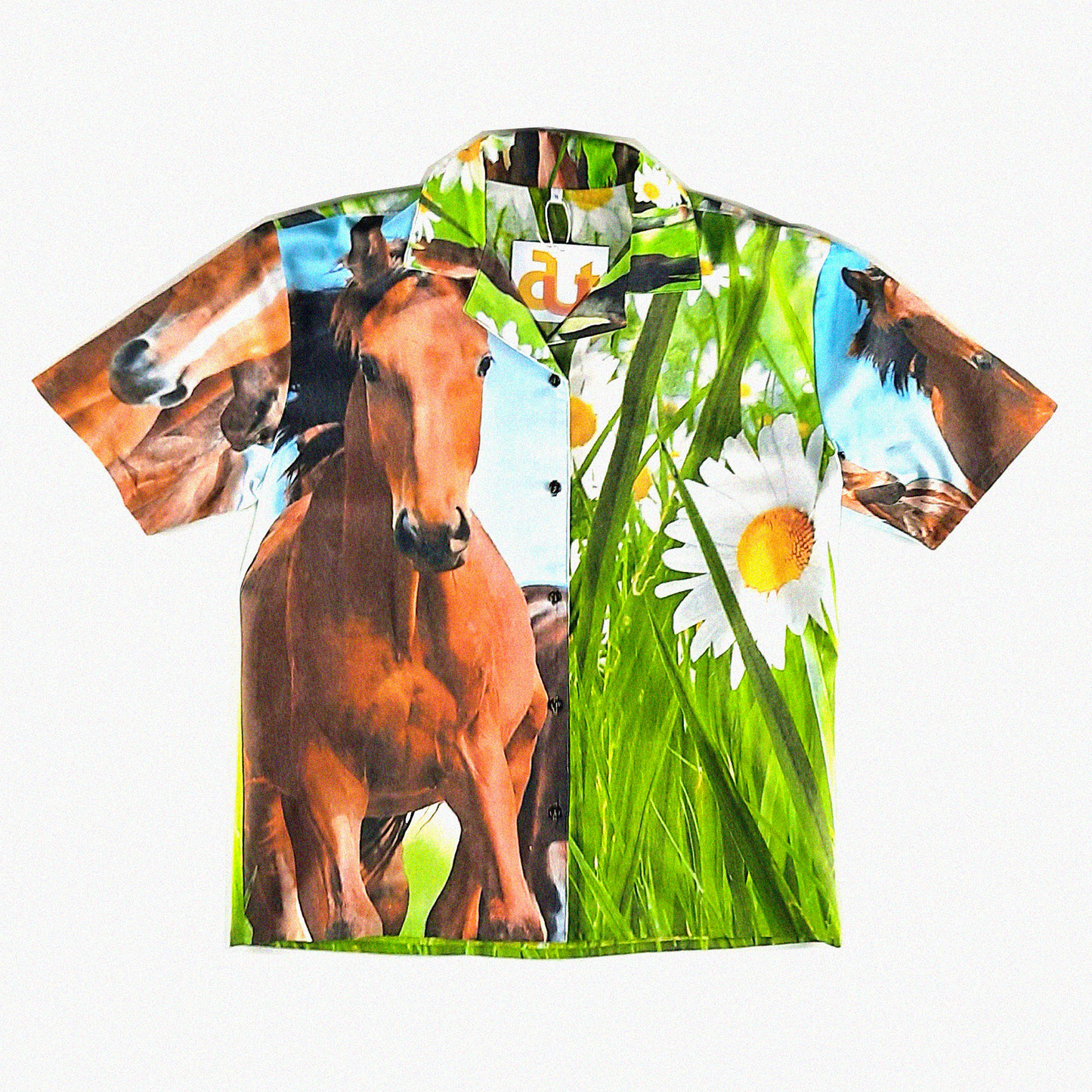 Horse in Field M